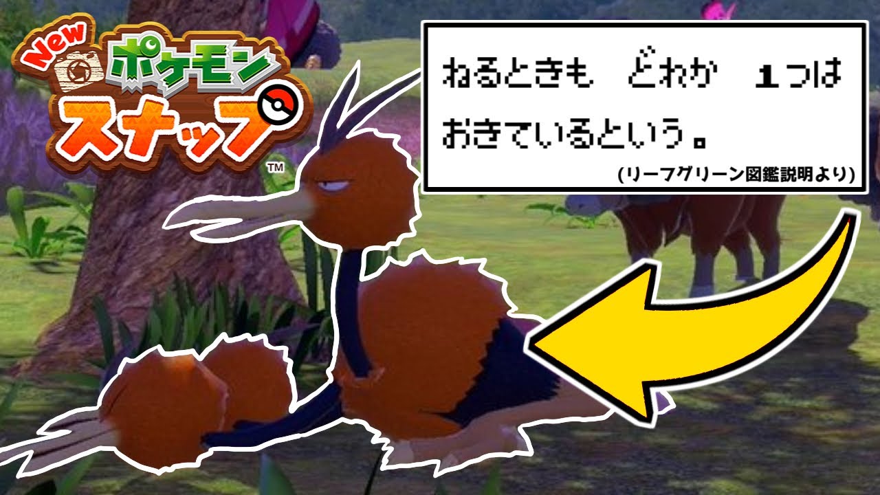 食物連鎖 ポケモンを食べるポケモン まとめ ポケモン解説 Youtube