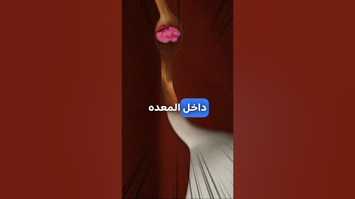 🚨 شو بيصير لما تبلع علكة؟ 🚨 | #حقائق_مذهلة