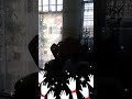 ادعوك يا اللهي عيسى بدر ادعوك يا اللهي عيسى بدر