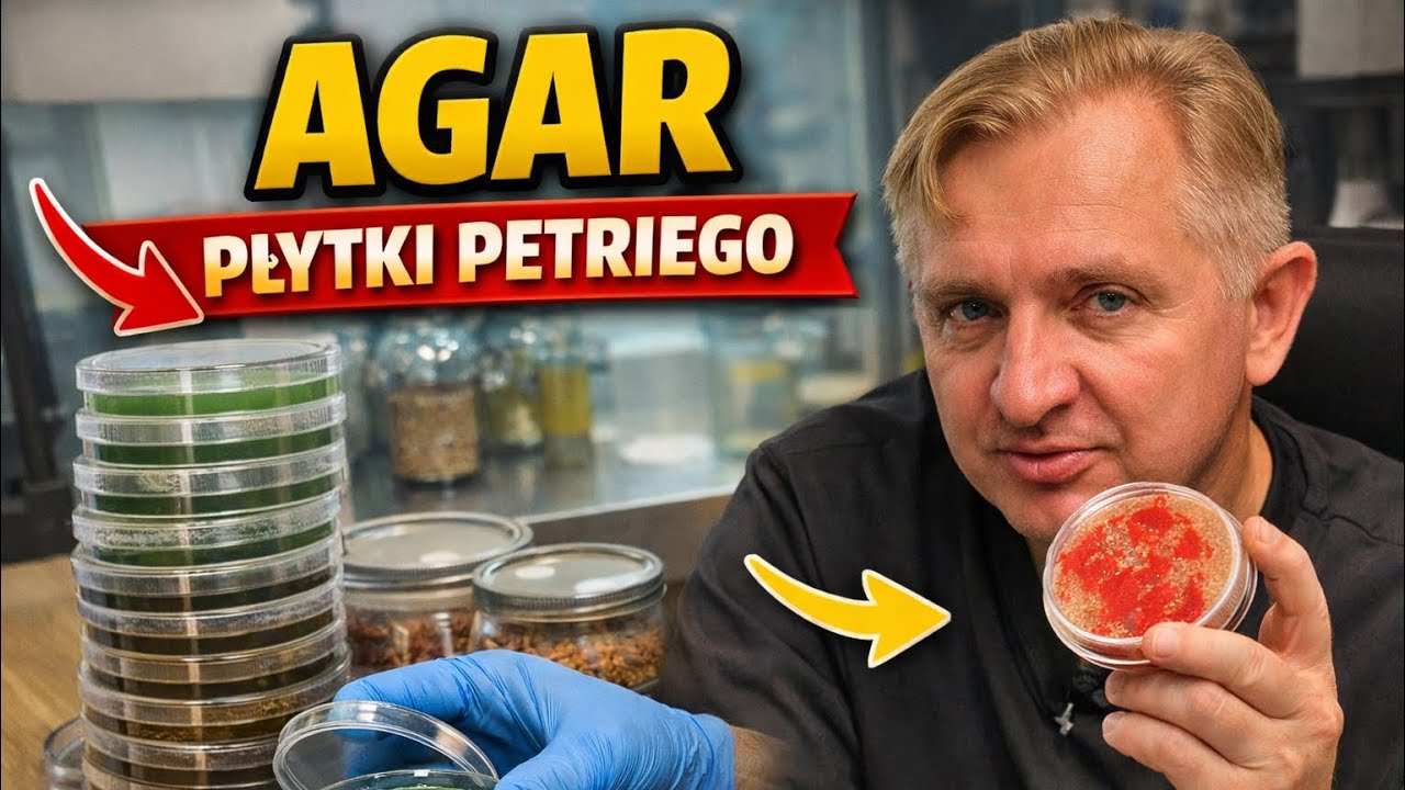 Odcinek nr 1 - Agar  i płytki Petriego w uprawie grzybów