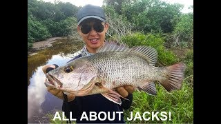 Jack Territory