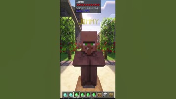 HOW TO PUT TRADES ON AN NPC WITH THE EASY NPC MOD