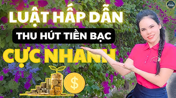 CÁCH DÙNG LUẬT HẤP DẪN ĐỂ THU HÚT TIỀN BẠC NHANH CHÓNG | Nguyễn Hoài My