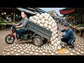 TIMELAPSE -- Harvesting +1000 Duck Eggs From Giant Nests, Use a 3-Wheel Transport Go to Market Sell