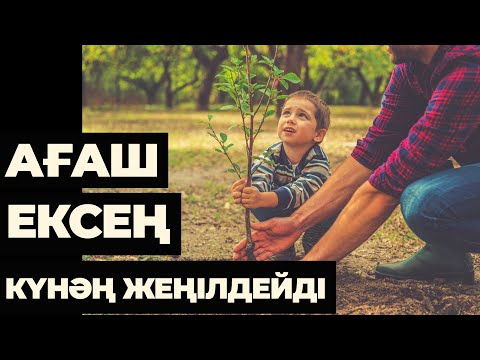 Бейне: Ағашты шірік пен ылғалдан қалай емдеуге болады? Тақталарды топырақта және сыртта шіріп кетуден қорғайтын өңдеу. Ылғалдың енуінің қандай құралдары қолданылады?