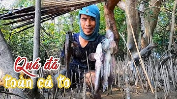 MỘT MÌNH VÀO RỪNG CÂU CÁ THÒI LÒI VÀ CÁI KẾT | HÒA CẦN GIỜ VLOG