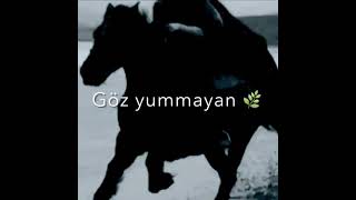 Yeni Sounds App Vhatsapp Ve Intagram Ucun Qisa Dini Video .