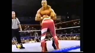 The Most Violent Pedigree Wwe Tripleh