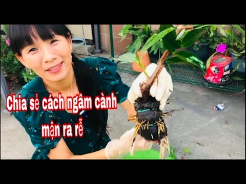 Video: Cách Nhấn Chính Xác Trọng âm Của Từ 