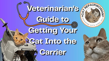 How to Put Your Cat Into A Carrier (Cat Vet