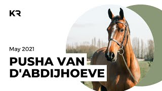 PUSHA VAN DABDIJHOEVE