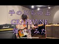 手のひらの上/GRAPEVINE【Guitar Cover】