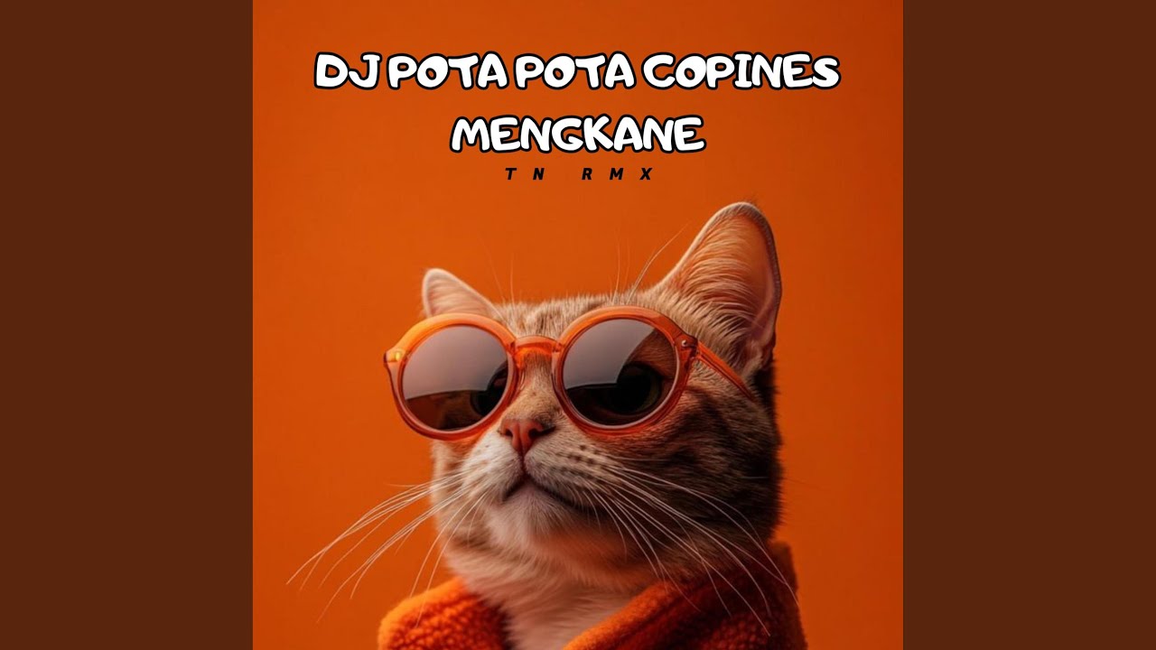 DJ POTA POTA COPINES MENGKANE