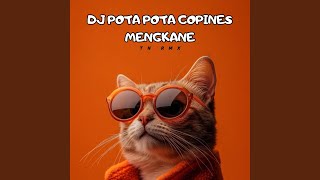 Download Lagu DJ POTA POTA COPINES MENGKANE MP3