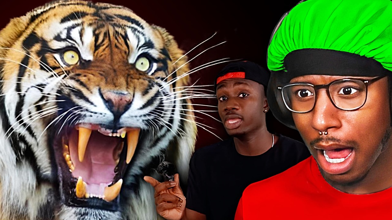 The Wildest Crashouts in Animal History!