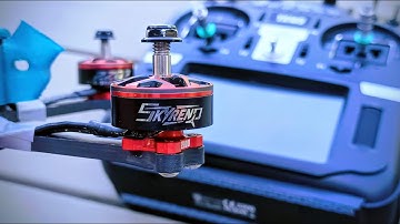 MMRC round 5, 1st + Joined DolphinRC!