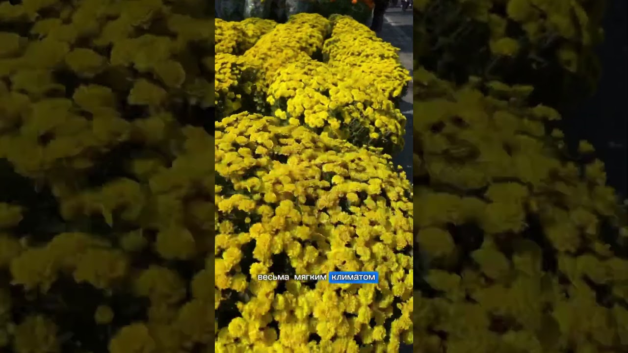 Город времен Французского Индокитая!