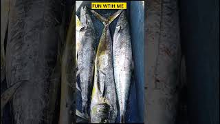 Mahi mahi Or Surmai Machli Ka Shikar | Fishing In Karachi 2023 fishing karachifishing fishinglife