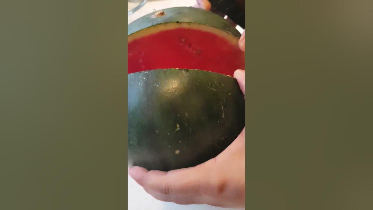 #SLICING#watermelon#fresh#viral#satisfying - YouTube