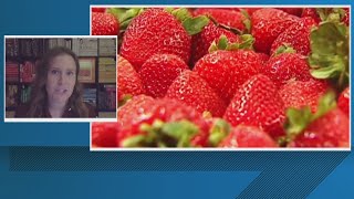 Virginia is creating their own food assistance amid government shutdown, here's what's next