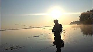 :    .  Pontoon 21 Cheerful SP.