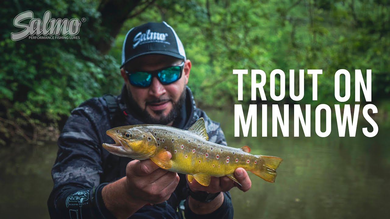 Catching stunning trout from a tiny river  Crankbait fishing for wild  brown trout on Minnows 