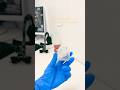 Как правильно пользоваться зубной нитью? #🦷 #здоровье #зубы #гигиена #стоматология