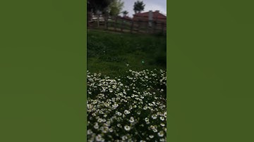 #تلاوة_خاشعة #القران_الكريم #راحة_نفسية #ايات #ايات_قرانيه #راحه_وطمأنينه_للقلب