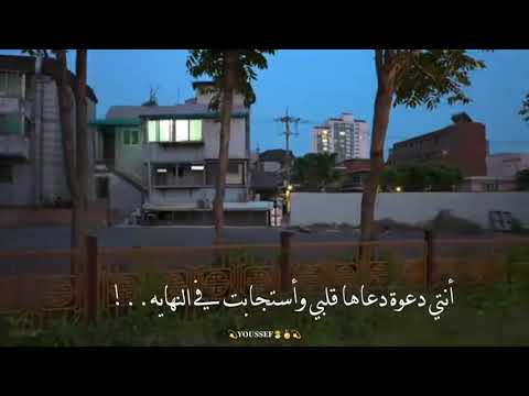 سلفيني عنيكي لحظه المحمدي   