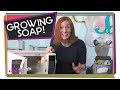 Watch Soap Grow!