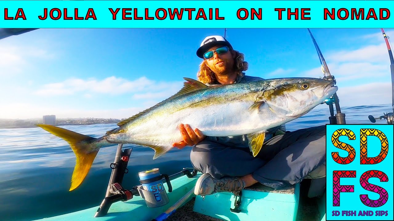 How to Catch LA JOLLA YELLOWTAIL San Diego Fishing Solo Skiff Trolling the Nomad (No Live Bait