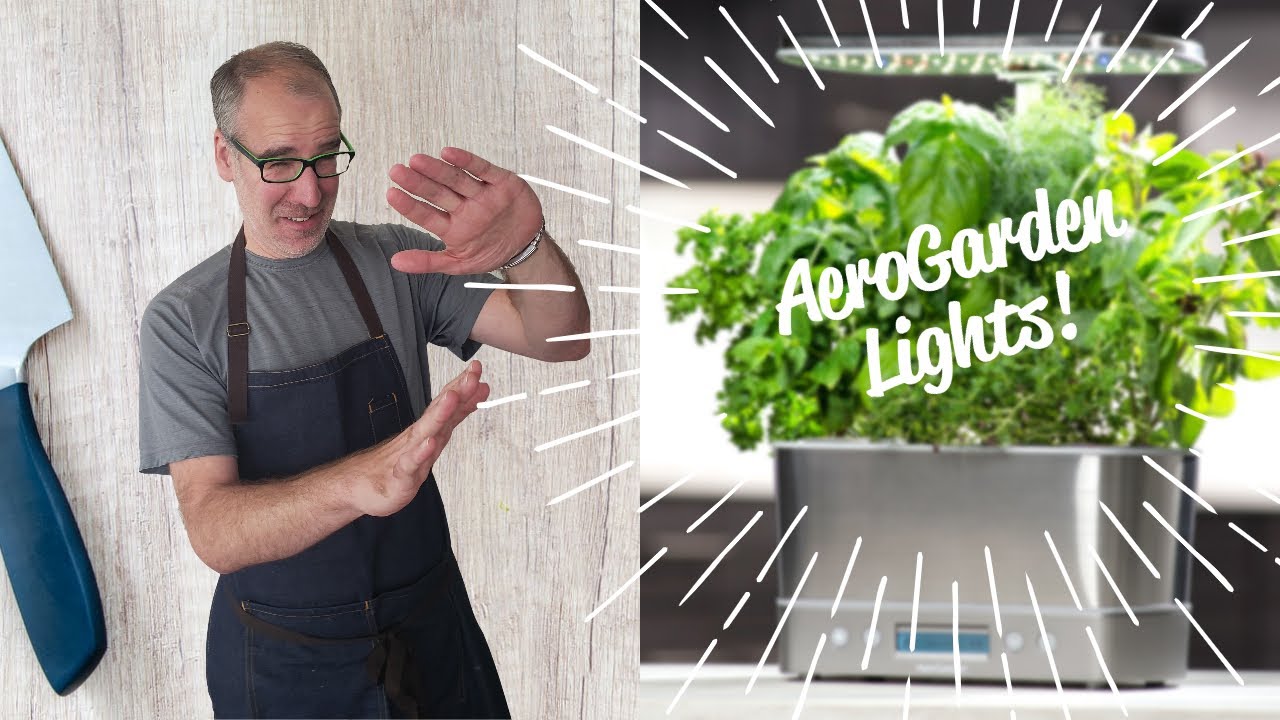 How To Set Aerogarden Lights | Aerogarden Harvest Elite Review | Day 2