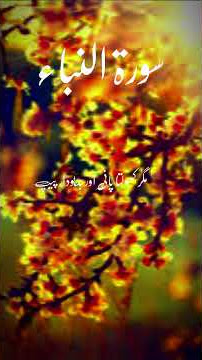 world most beautiful Quran Recitation Zikrullah TV 💖🖤❤️💓💕💖#foryou #unfrezzmyaccount #tilawat Quran