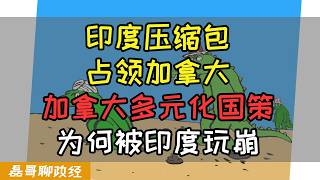 【直播精彩片段】印度压缩包占领加拿大，加拿大多元化国策为何被印度玩崩？留学移民海外为何找不到对象？低工资高生活成本，在国外打拼还值得吗？