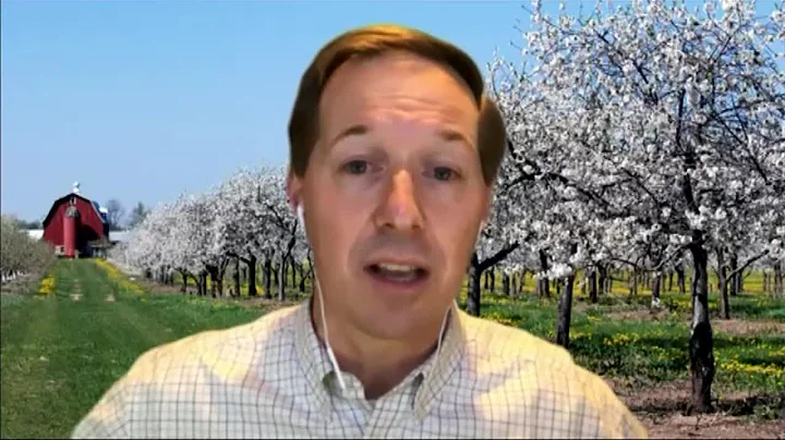 Vaccinations, improving pandemic situation spark rise in summer travel