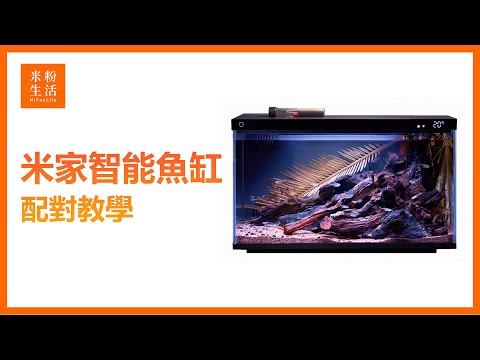 【米粉教學】米家智能魚缸｜智慧養魚好上手