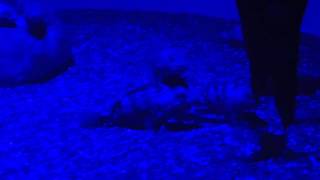 VID 20140223 153507