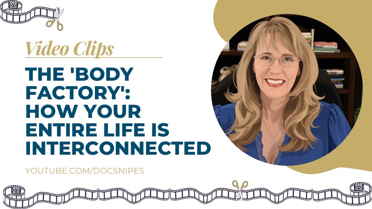 Thumbnail for The 'Body Factory': How Your Entire Life Is Interconnected