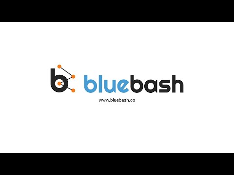 Outstanding Long Term Software Development Partner   BlueBash Services