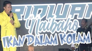 RIDWAN NAIBAHO - IKAN DALAM KOLAM OFF AIR TELUK LOMBOK | DANGDUT MANIA TV