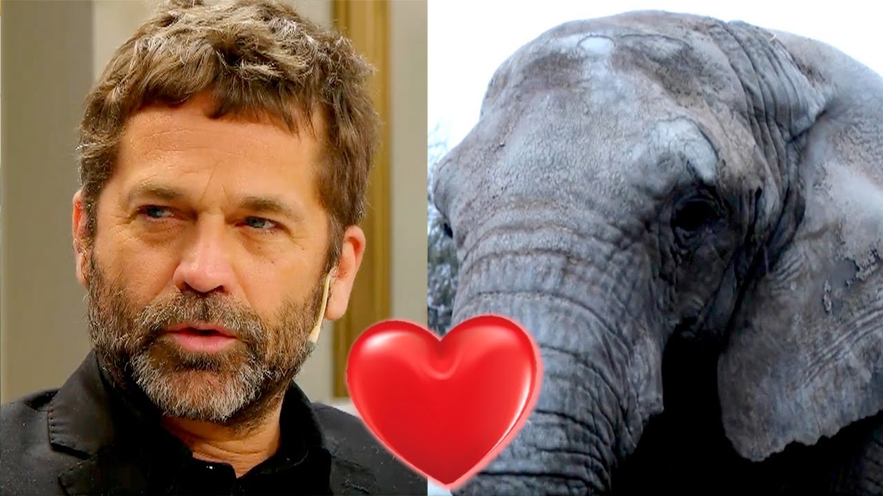 Nicolás Pauls acompañó a la elefanta Kenya a un santuario en Brasil: "Fueron 5 días de viaje"