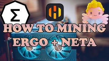 HOW TO MINING ERGO + NETA By HIVEOS