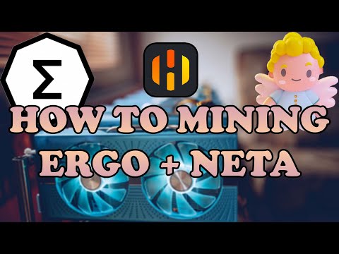 HOW TO MINING ERGO + NETA By HIVEOS