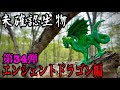 Unidentified Creature I Can T Go Home Until I Find The Ancient Dragon Unidentified Creature I Can T Go Home Until I Find The Ancient Dragon