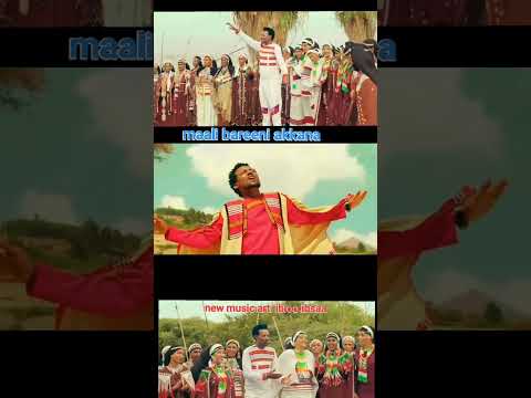 New Oromo Music 2023 Malini Bareni Akkanaa