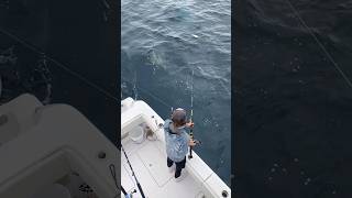 Dredge Fishing for Sailfish using Marea Dredges