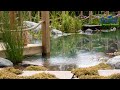 Create Your own Paradise from home... 

Natural water swimming ponds designed BESPOKE to our clients vision. Enquiry to Installation from 3-6 months. 

This summer dive into nature in your own garden space. Swim at your own convenience. 

Call Today to start your Journey. 

Subscribe to our Youtube channel: https://www.youtube.com/channel/UCGq7... 

Let us Connect – Follow us on 
Facebook https://www.facebook.com/pondsbymicha... 
Instagram https://www.instagram.com/pondsbymichaelwheat/
Twitter https://twitter.com/PondsbyMW 
Pinterest https://www.pinterest.co.uk/PondsbyMWheat/
Linkedin https://www.linkedin.com/company/pondandgardendesign/

Website: 
https://www.pondandgardendesign.co.uk/ 
https://swimponds.co.uk/ 

Enquire: Call: 0116 464 9640 
Email: yourjourneybegins@pondandgardendesign.co.uk
 
#michaelwheatgroup #pondsbymichaelwheat #design #swimpond #swim ponds #pond for swimming #pond swimming #pond swimming pools #ponds swimming #swim ponds uk #swimming ponds uk uk #natural swimming pool uk #natural swimming pools uk #natural pond for swimming #swimming pond #natural swimming pools #natural swimming pond #natural swimming pool #pool pond #pool ponds #natural pond for swimming #garden pool #natural swimming pools #natural swimming pools #swimming in a pond #swimming pond #designer ponds #pond designer #virtualtour #drawing #3drender #technical drawing #wildlife