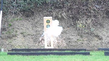 Firebird Target @ 50 mtrs with.22LR