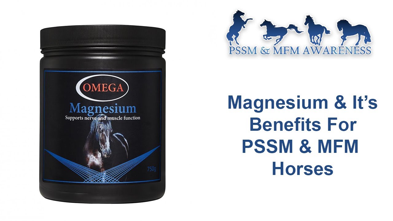 Magnesium & It's Benefits For PSSM Horses YouTube