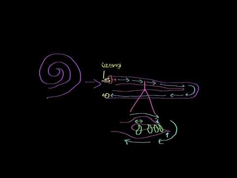 İşitsel Yapı - Bölüm 2